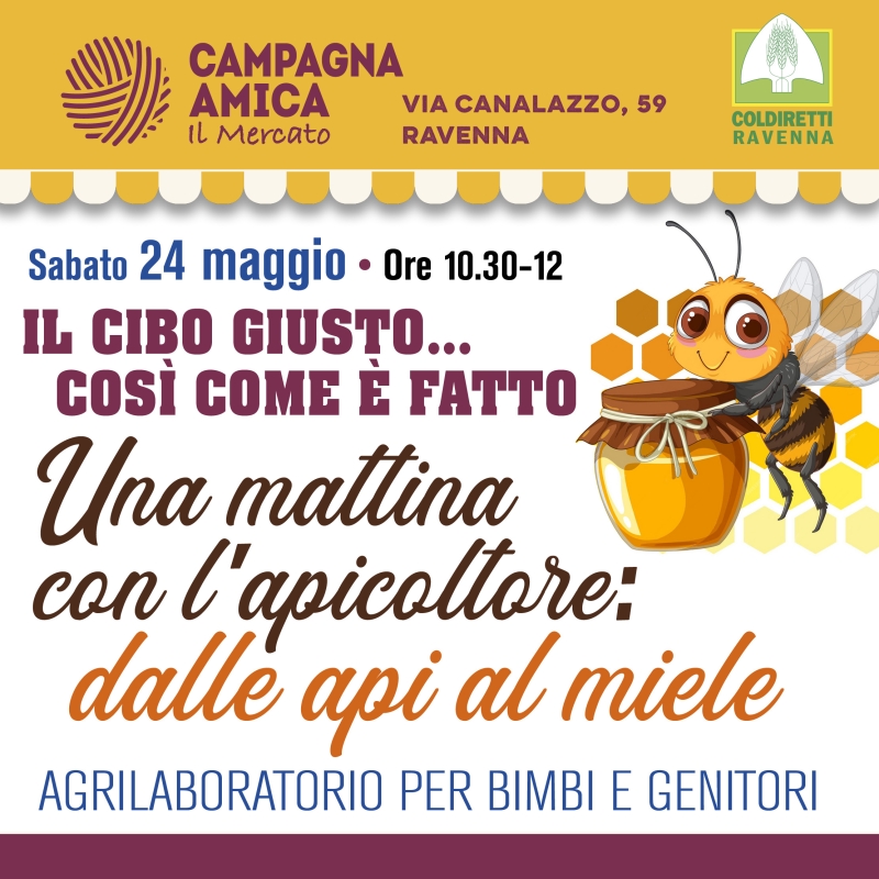 Il Cibo Giusto così come è fatto